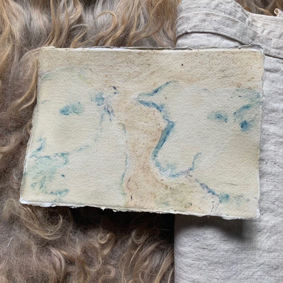 Jason Rosenberg's Sheep