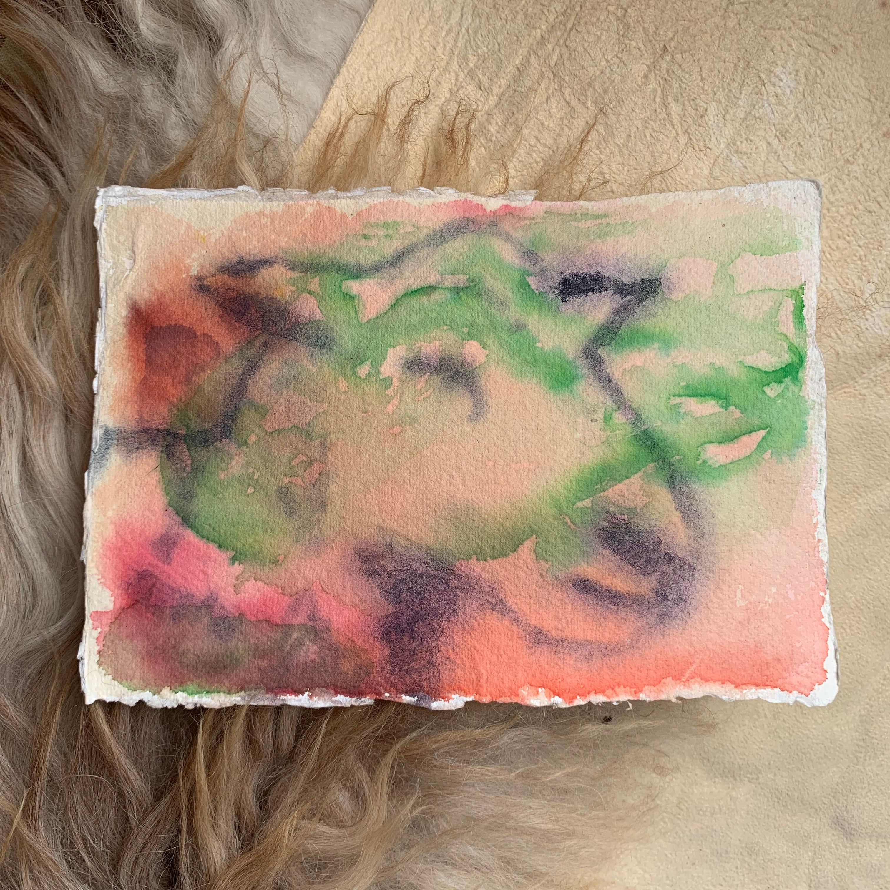 Jason Rosenberg's Sheep