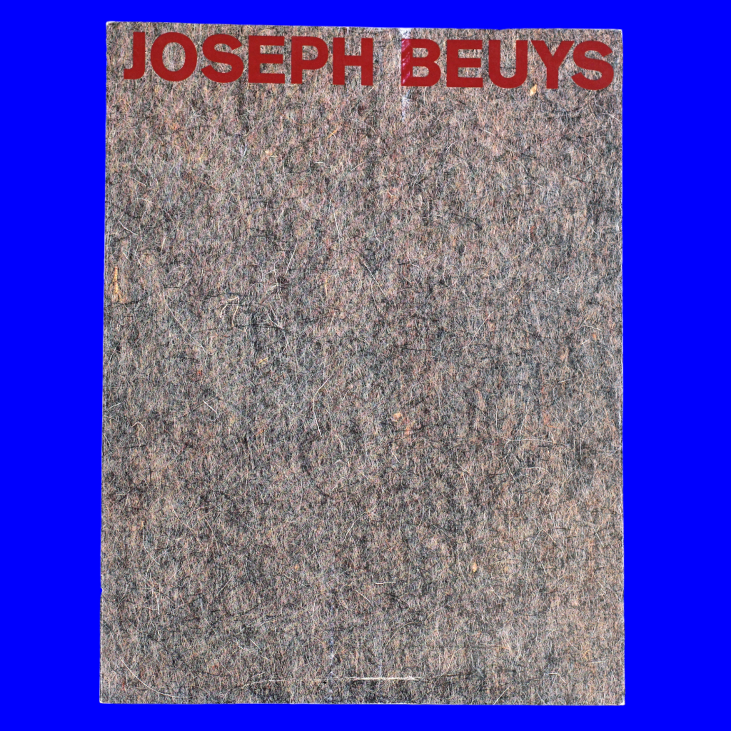Joseph Beuys with Fat and Felt