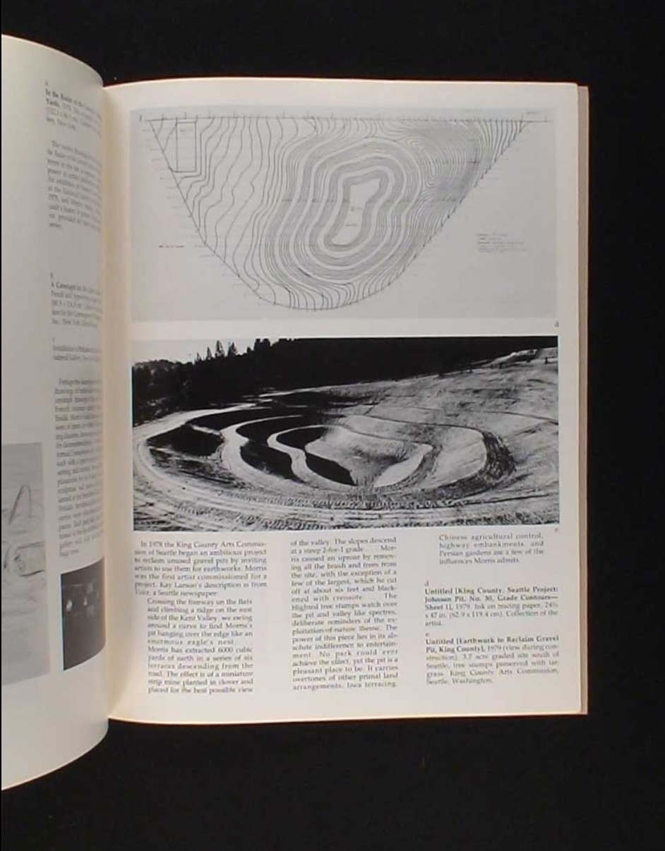 The Drawings of Robert Morris